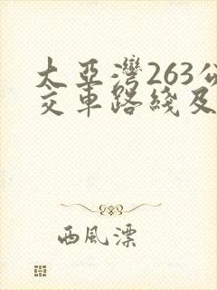 大亚湾263公交车路线及时间表公交