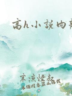 高h小说肉辣文