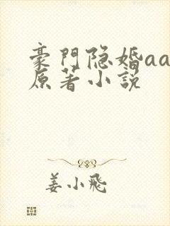 豪门隐婚aa制原著小说