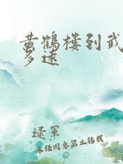 黄鹤楼到武汉站多远