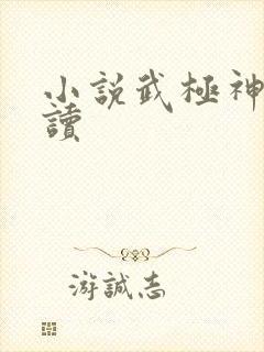 小说武极神王阅读