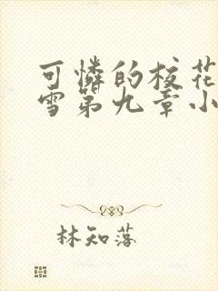 可怜的校花陈若雪第九章小说
