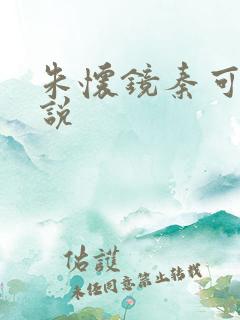 朱怀镜秦可卿小说