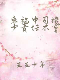 车祸中司机负多少责任不会判刑