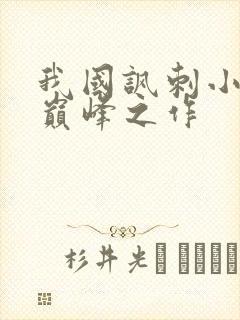 我国讽刺小说的巅峰之作 我国讽刺小说的巅峰之作