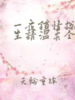 一夜锁情总裁先生请温柔全文阅读
