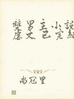 双男主小说推文虐文 已完结