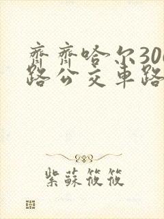 齐齐哈尔306路公交车路线时间表