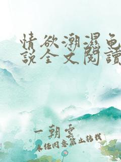 情欲潮湿龟甲小说全文阅读