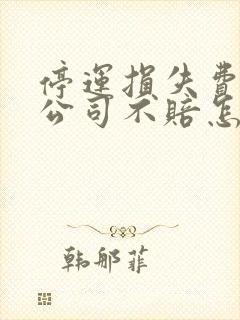 停运损失费保险公司不赔怎么办 停运损失费保险公司不赔怎么办