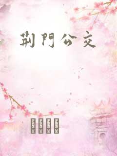 荆门公交 荆门公交