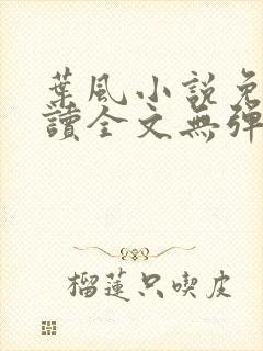 叶风小说免费阅读全文无弹窗