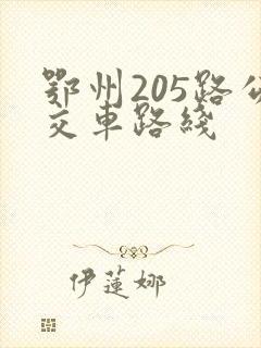 鄂州205路公交车路线