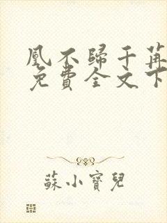 凰不归千苒君笑免费全文下载txt