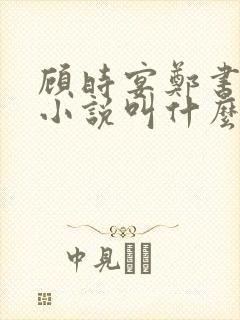顾时宴郑书意的小说叫什么