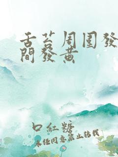 舌苔周围发白中间发黄