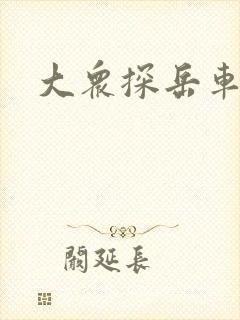 大众探岳车子