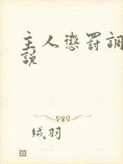 主人惩罚调教小说