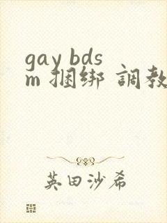 gay bdsm 捆绑 调教 男奴