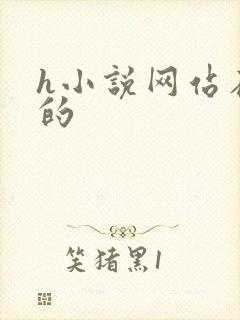 h小说网站在线的