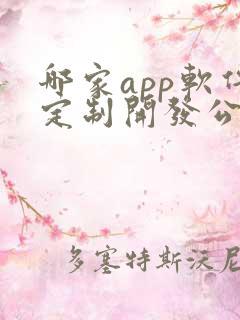 哪家app软件定制开发公司好