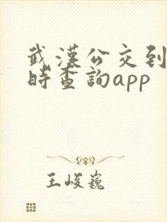 武汉公交到站实时查询app