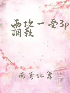 两攻一受3p～调教
