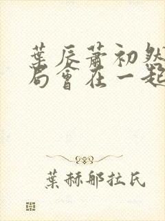 叶辰萧初然大结局会在一起吗