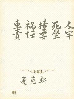 车祸撞死人主要责任要坐牢吗