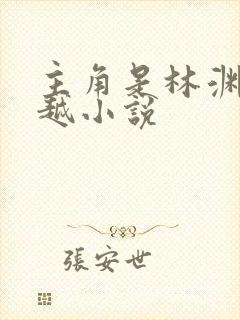 主角是林渊的穿越小说