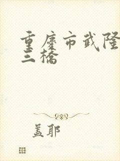 重庆市武隆天生三桥