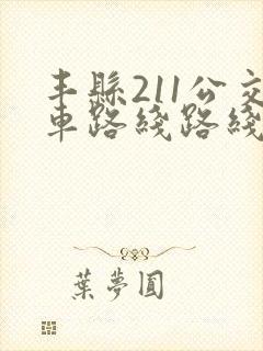 丰县211公交车路线路线图