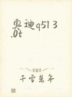 奥迪q5l 3.0t