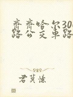 齐齐哈尔306路公交车路线时间表