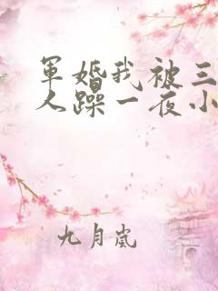 军婚我被三个男人躁一夜小说 军婚我被三个男人躁一夜小说