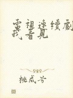 电视连续剧别让我看见
