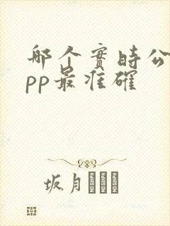 哪个实时公交app最准确