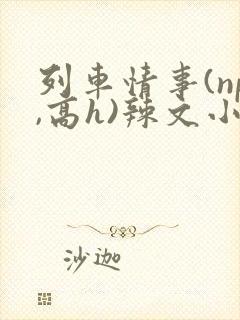 列车情事(np,高h)辣文小