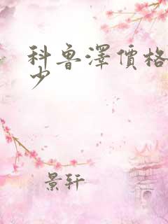 科鲁泽价格是多少