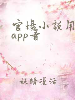 官场小说用什么app看