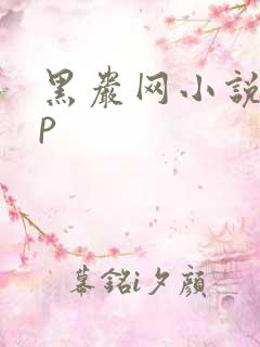 黑岩网小说app