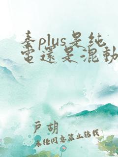 秦plus是纯电还是混动