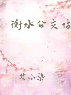 衡水公交站电话