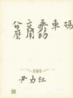 公交乘车码是怎么用的