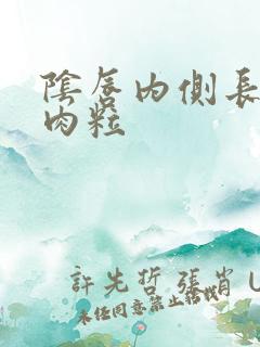 阴唇内侧长的小肉粒 阴唇内侧长的小肉粒