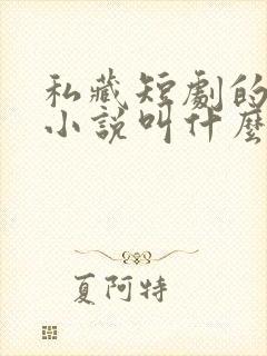私藏短剧的原著小说叫什么 私藏短剧的原著小说叫什么