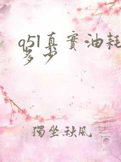 q5l真实油耗多少 q5l真实油耗多少