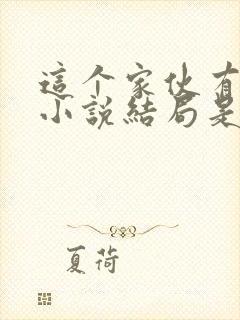 这个家伙有点坏小说结局是什么