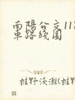 南阳公交11路车路线图