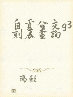 自贡公交g3时刻表查询